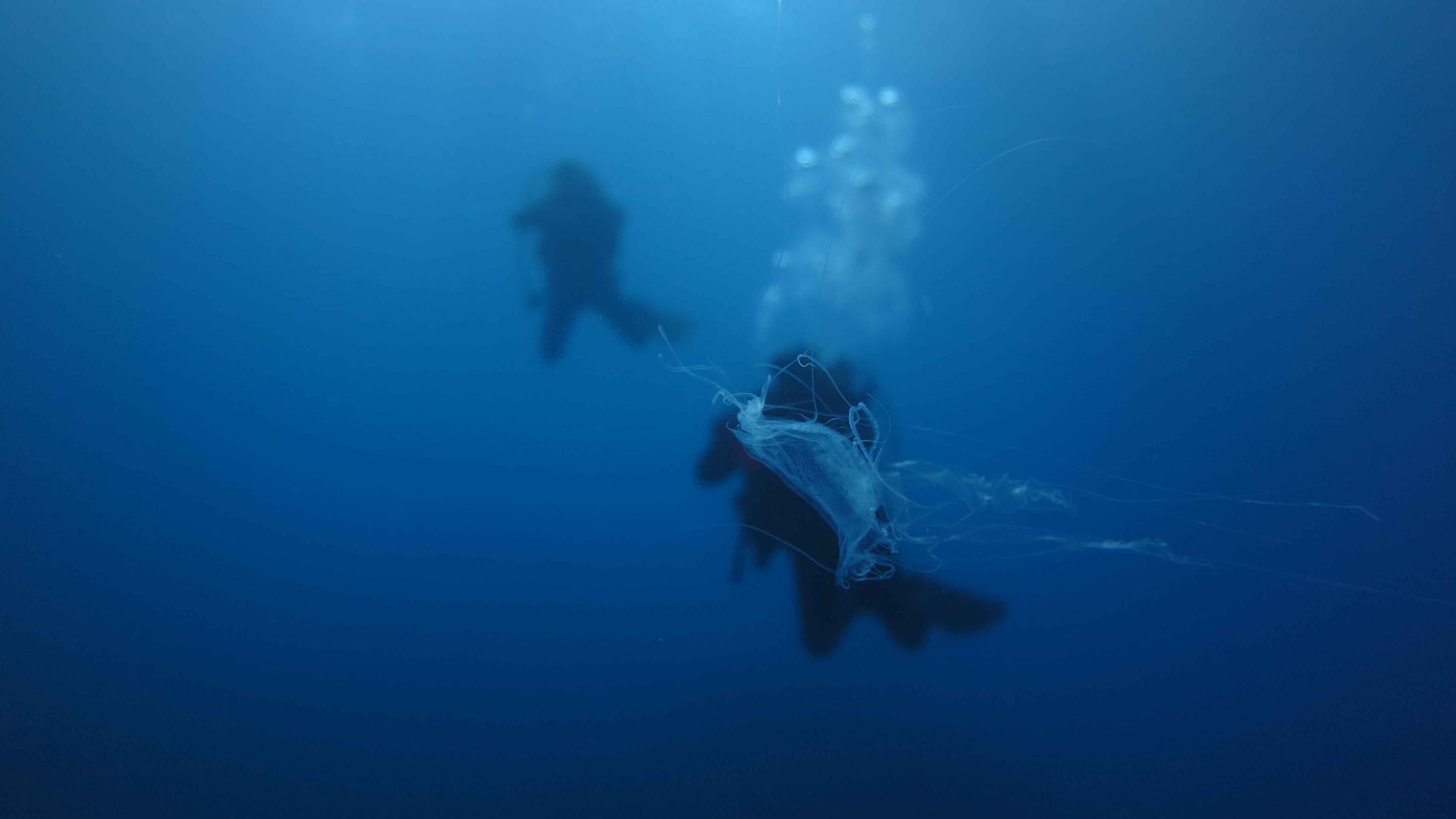 CoralSub — photo 6