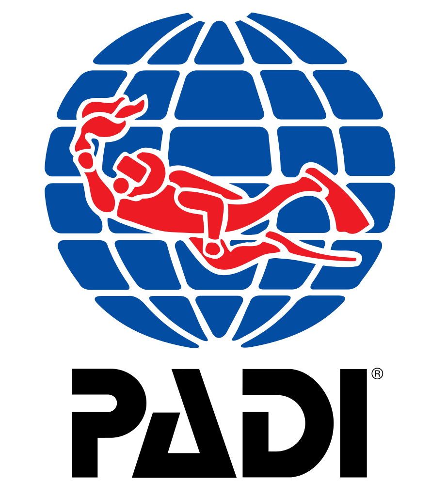 Padi