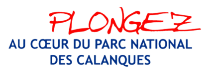 Narval Plongee Cassis