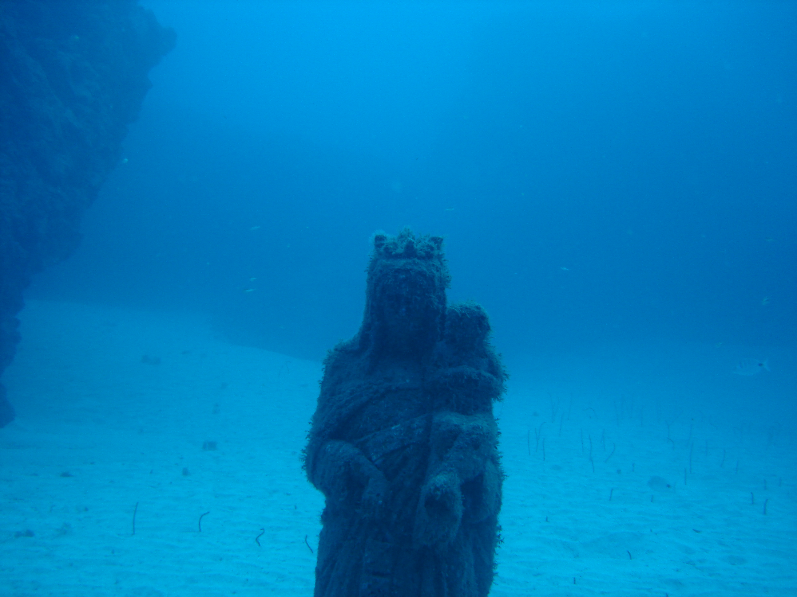 CoralSub — Cueva del Palm-Mar